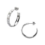 Stainless Steel Brushed Hoops with Baguette CZs